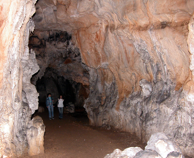 Detalj iz njedara južnog Velebita/Snimio Marko Čuljat Ličke novine Gospić                                                                                                                                                                                 